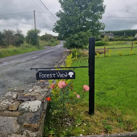 Forest View Galway H54p897 * Dunmore