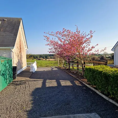 Bed & Breakfast Forest View Galway H54p897