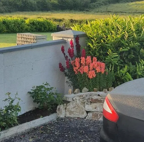 Frühstückspension Forest View Galway H54p897