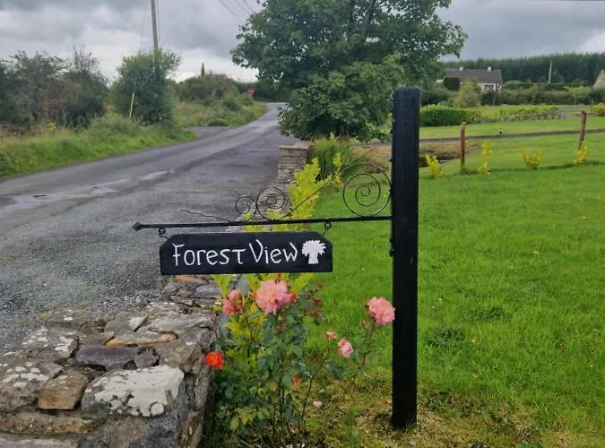 Forest View Galway H54p897 * Dunmore