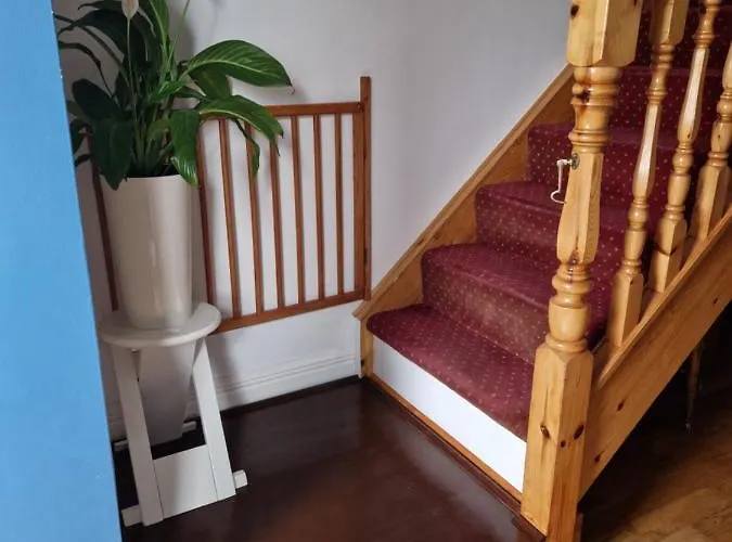 Forest View Galway H54p897 Dunmore