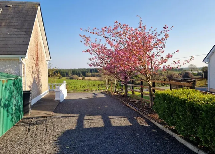 Frühstückspension Forest View Galway H54p897